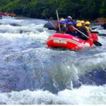 Kithulgala Thrills: White Water Rafting Bliss! - Who Will Love This Tour?