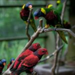 KL Green Escape: 4-Hour Gardens, Bird & Butterfly Tour - Perdana Botanical Garden: Nature in the Heart of the City