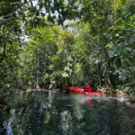 Klong Rud Kayaking with Hotel Transfer - What’s Included and What’s Not