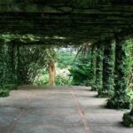 Know the Place: Montego Bay Historical Highlight and Bellefield Great House - Why This Tour Works Well for Travelers