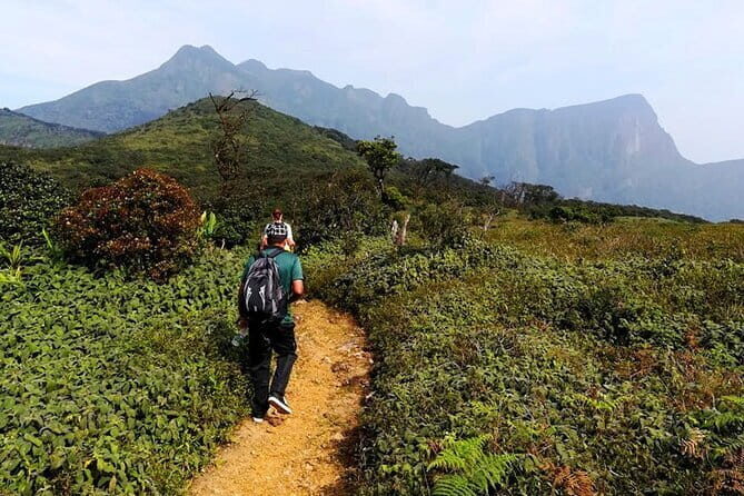 Knuckles Mountain Range Hiking and Trekking Day Tour From Kandy Hotels - Who Should Consider This Tour?