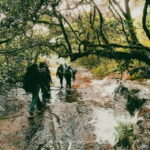 Knuckles Mountain Range: Kotaganga Waterfall Chain Hike - Why Choose This Tour?