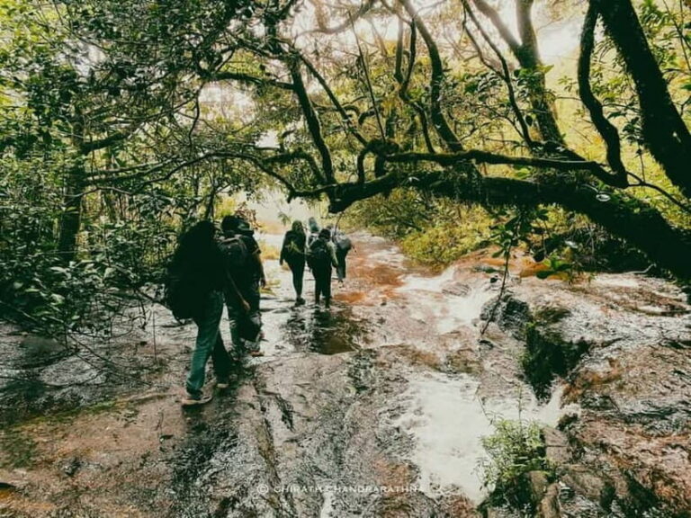 Knuckles Mountain Range: Kotaganga Waterfall Chain Hike - Why Choose This Tour?