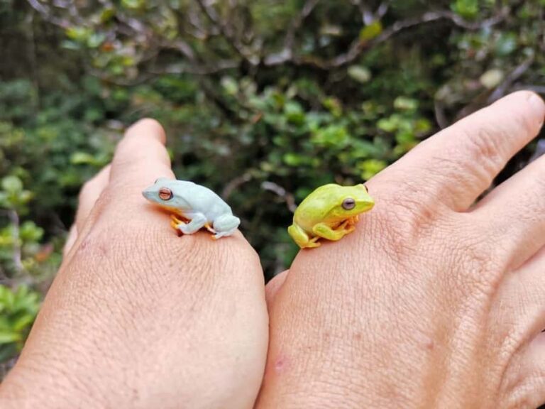 Knuckles: Wildlife Tours with FGASA Field Guides - What We Love About This Tour