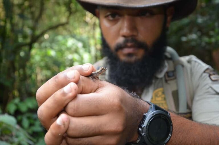 Knuckles: Wildlife Tours with FGASA Field Guides - Why This Tour Offers Great Value