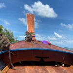 Ko Lanta: Mangrove Forest and Old Town Private Tour - Analyzing the Value and Practicalities
