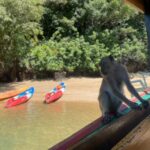 Ko Lanta: Mangrove Kayaking, Ko Talabeng, & Skull Island - Why This Tour Offers Great Value
