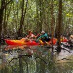 Ko Lanta: Mangrove Kayaking Tour with Lunch & Wildlife - Detailed Breakdown of the Itinerary