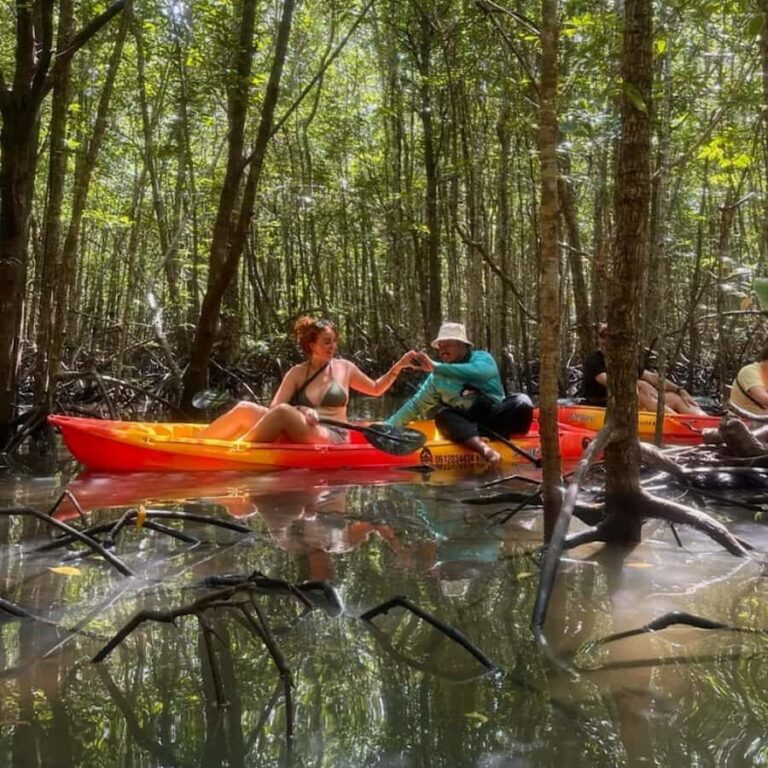 Ko Lanta: Mangrove Kayaking Tour with Lunch & Wildlife - Detailed Breakdown of the Itinerary