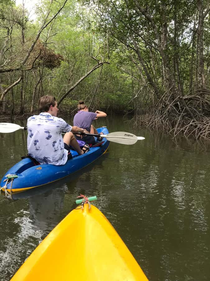 Ko Lanta: Mangrove Kayaking Tour with Lunch & Wildlife - Who Will Enjoy This Tour?