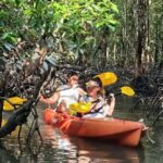Ko Lanta: The Mangrove Kayaking Experience + Local Lunch - An In-Depth Look at What to Expect