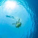 Ko Samui: Unique Ko Tao & Ko Nang Yuan Snorkeling Day Trip - A Detailed Look at the Experience