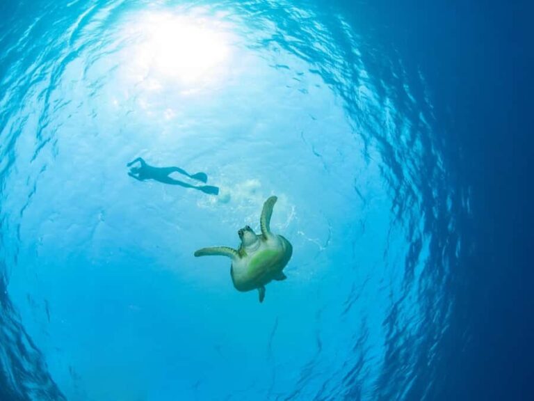 Ko Samui: Unique Ko Tao & Ko Nang Yuan Snorkeling Day Trip - A Detailed Look at the Experience