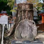 Kobe: Guided Walking Tour with Kobe Beef Lunch - Practical Tips for Travelers