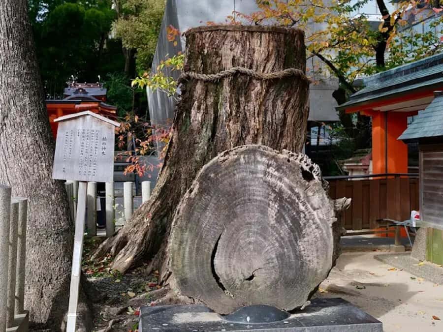 Kobe: Guided Walking Tour with Kobe Beef Lunch - Practical Tips for Travelers