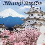 Kobe & Himeji: Private Day Tour Castles, Harbor & Culture - Who Will Love This Tour?