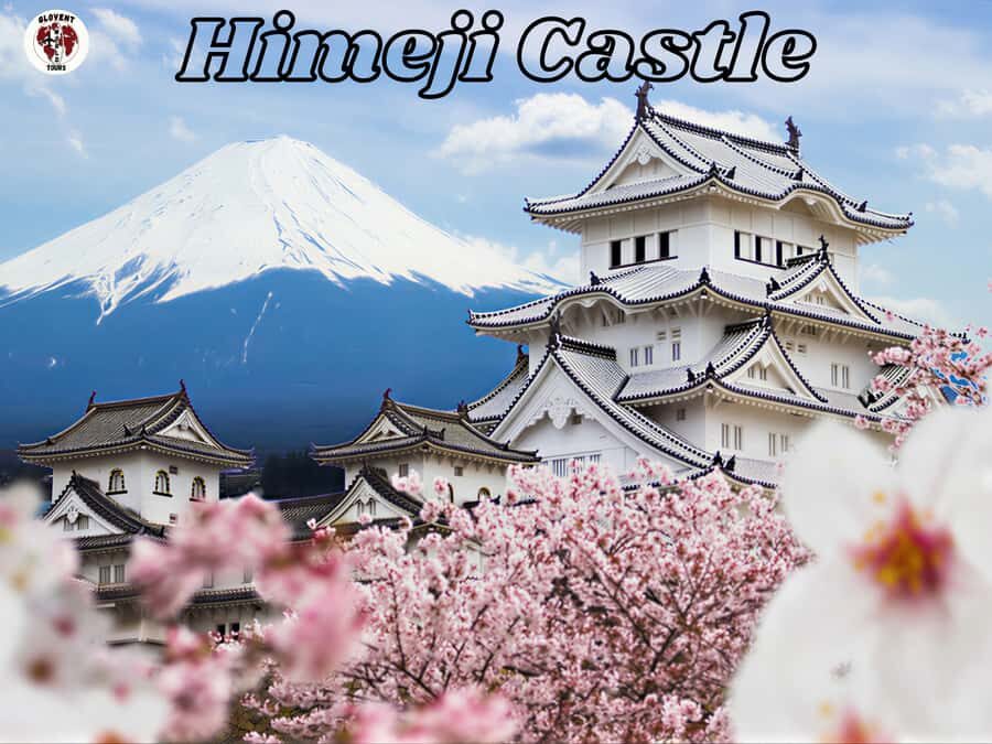 Kobe & Himeji: Private Day Tour Castles, Harbor & Culture - Who Will Love This Tour?