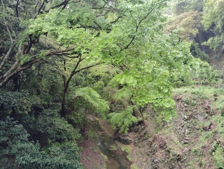 Kobe: Nunobiki Falls Morning Guided Hike - What Reviewers Say