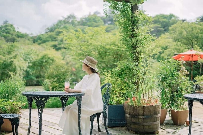 Kobe: Rokko Forest Sound Museum Admission Ticket - What to Expect at the Museum