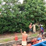 Kochi: Alleppey Backwaters public Boat Tour with Train Ride - Practical Considerations and Tips