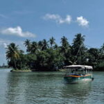 Kochi: Electric Boat Private Tour - Practical Details and Tips