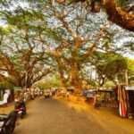 Kochi Insta Photo Walk with Tuk Tuk Ride Experience - Why You Should Consider This Tour