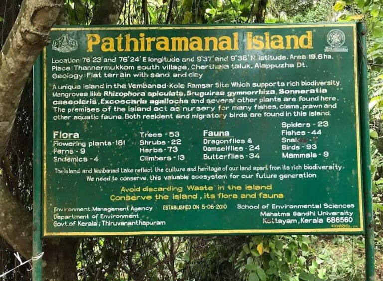 Kochi: Kumarakom Day Trip with Private Shikara Cruise & more - Exploring the Kumarakom Day Trip: A Deep Dive