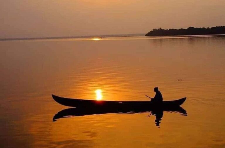 Kochi: Kumarakom Day Trip with Private Shikara Cruise & more - Why This Tour Offers Great Value