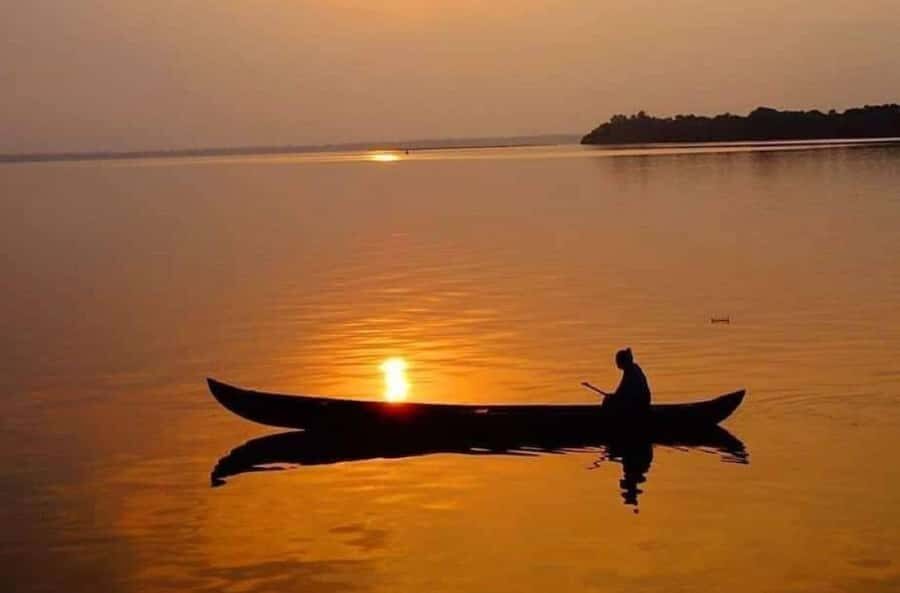 Kochi: Kumarakom Day Trip with Private Shikara Cruise & more - Why This Tour Offers Great Value