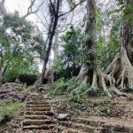 Kochi Nature Day Tour: Caves, Waterfalls and Viewpoint - Exploring the Itinerary in Detail