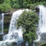 Kochi Nature Day Tour: Caves, Waterfalls and Viewpoint - What Makes This Tour Valuable?
