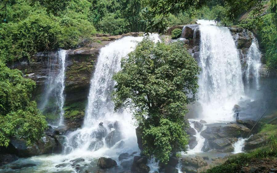 Kochi Nature Day Tour: Caves, Waterfalls and Viewpoint - What Makes This Tour Valuable?