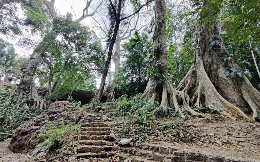 Kochi Nature Day Tour: Caves, Waterfalls and Viewpoint - Exploring the Itinerary in Detail
