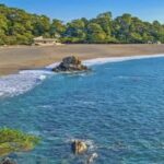 Kochi Private Custom Tour with Local Guide - Why This Tour Works Well