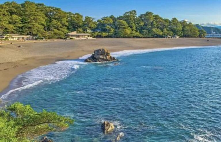 Kochi Private Custom Tour with Local Guide - Why This Tour Works Well