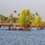 Kochi: Private Island Hopping Tour - The itinerary: A balanced mix of sights and local life