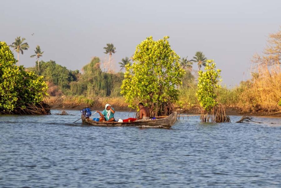 Kochi: Private Island Hopping Tour - The itinerary: A balanced mix of sights and local life