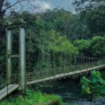 Kochi: Private Kerala Scenic Beauty Day Tour with Lunch - The Sum Up