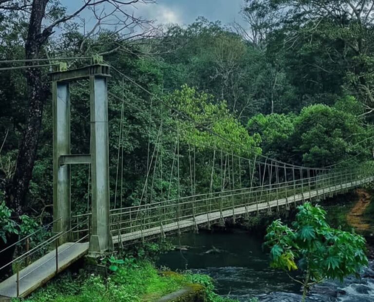 Kochi: Private Kerala Scenic Beauty Day Tour with Lunch - The Sum Up