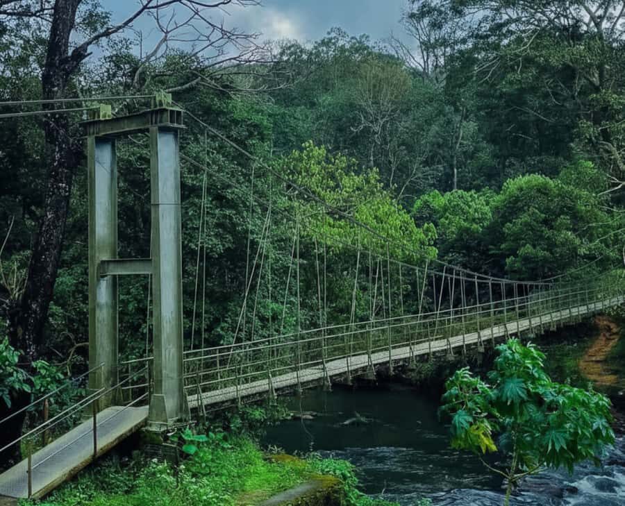 Kochi: Private Kerala Scenic Beauty Day Tour with Lunch - The Sum Up