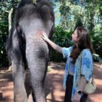 Kochi:- Same Day Periyar Wildlife Tour with Elephant Bath - What Makes This Tour Stand Out