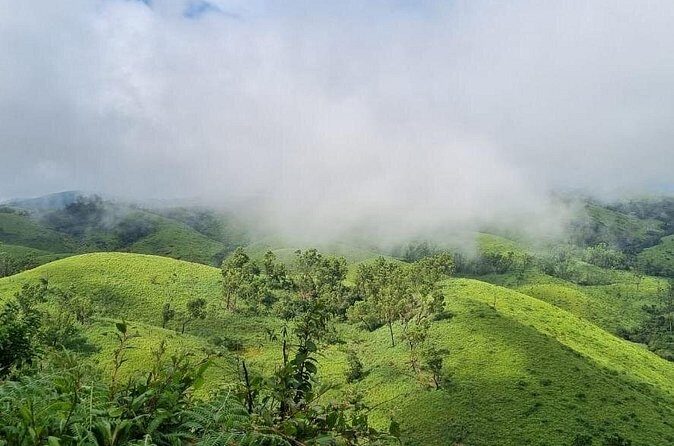 Kochi to Munnar Private Full Day Guided Tour With Hotel Pickup - Final Thoughts: Is It Worth It?