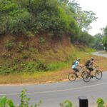 Kochi to Thattekkad - The Return & Additional Considerations