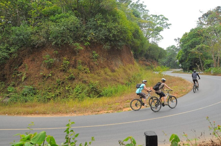 Kochi to Thattekkad - The Return & Additional Considerations