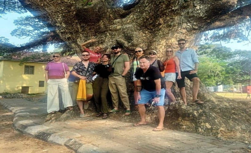 Kochi: Tuk-Tuk Tour with Pickup from Cruise Ships - Who Will Enjoy This Tour?