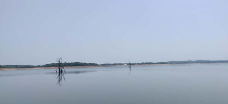 Kodachadri: Summit Trek with forest and cave experience - The Experience from a Traveller’s Perspective