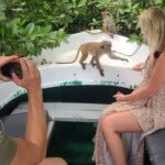 Koggala Lake Safari: Monkeys, Wildlife & Cinnamon Island Visit - Who Would Love This Tour?