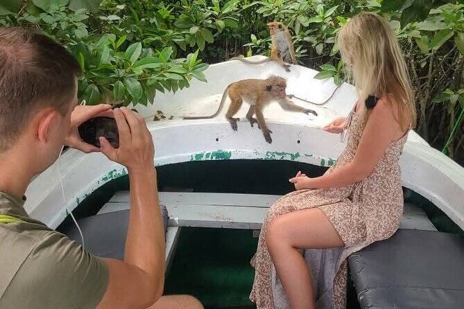 Koggala Lake Safari: Monkeys, Wildlife & Cinnamon Island Visit - Who Would Love This Tour?