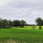 Koh Ker & Beng Mealea Temples Private Tour - Practical Details & What You Should Know