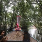 Koh Lanta: Mangrove Forest Tour with Boat Ride & Lunch - What to Expect on the Tour